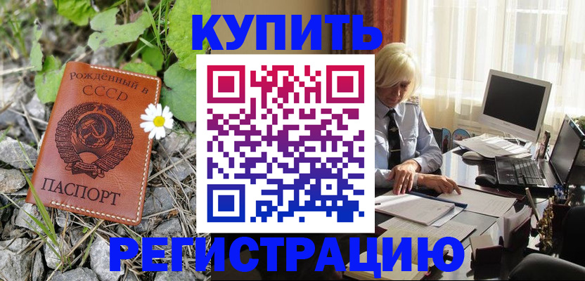 временная регистрация поиск в Александрове